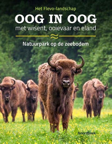 Oog In Oog Met Wisent, Ooievaar En Eland | Nieuw, Ophalen of Verzenden, Nieuw, Rolf Hendriks; Tim Beldman; Yvonne Meijberg; Norbert Kwint
