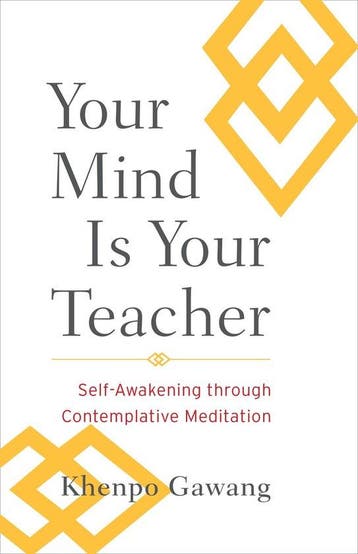 Your Mind Is Your Teacher - Khenpo Gawang 9781590309971, Verzenden, Gelezen, Khenpo Gawang