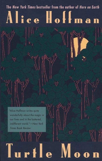 Turtle Moon - Alice Hoffman 9780425161289, Verzenden, Gelezen, Alice Hoffman