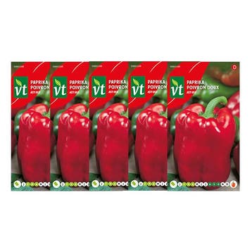 Paprikazaad | VT | 5 stuks (Rood), Verzenden