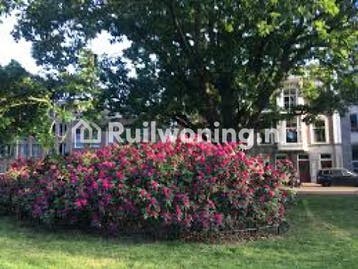 Ruil je woning in Den Haag, Centrum!, Huizen en Kamers, Woningruil, Den Haag