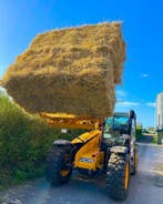 Kleine balen Weidehooi bundels (14x20kg), Ophalen of Verzenden, Vee