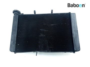 Radiateur Triumph Trident 660 2020->, Verzenden, Gebruikt