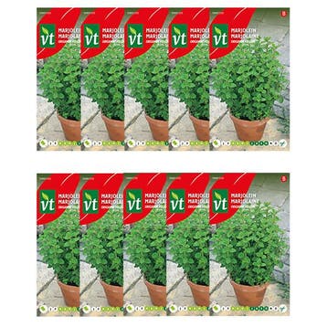 Marjolein zaad | VT | 10 stuks, Verzenden