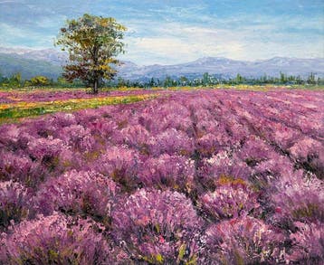 Christof Vevers (1962) - Les Champs de Lavande - Valensole ~