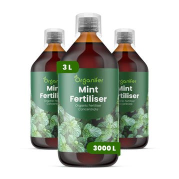 Vloeibare meststof Munt - Set 3x1 liter, Verzenden, Mest
