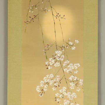 Weeping Cherry Blossoms and Hazy Moon with Original Box