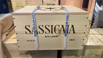 2023 Tenuta San Guido, Sassicaia - Bolgheri DOC - 6 Flessen, Nieuw