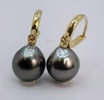 Oorbellen - 14 karaat Geel goud - 9×10 mm Tahitiaanse parels, Nieuw