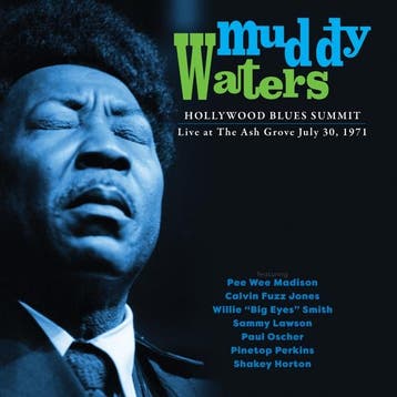 cd - muddy waters - HOLLYWOOD BLUES SUMMIT 1971 (nieuw), Verzenden, Zo goed als nieuw
