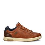 Skechers Cavell lage sneakers voor heren in het Bruin, Bruin, Verzenden, Nieuw, Sneakers of Gympen
