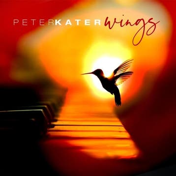cd - peter kater - WINGS (nieuw), Verzenden, Zo goed als nieuw