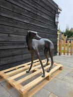 Beeld, Bronze: XL Greyhound Dog - 77 cm - Brons - 2026, Antiek en Kunst