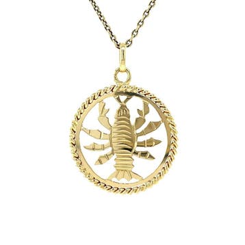 Gouden hanger sterrenbeeld kreeft 14 karaat, Verzenden, Zo goed als nieuw, Goud