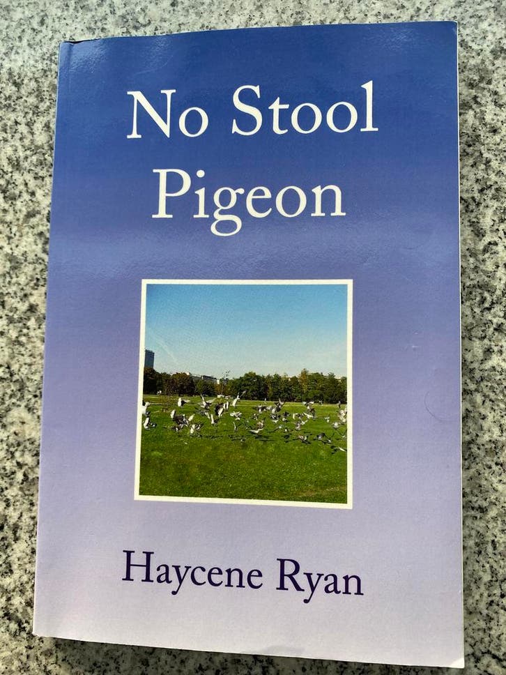 No stool pigeon (Haycene Ryan), Boeken, Geschiedenis | Wereld, Europa, 20e eeuw of later, Gelezen, Verzenden