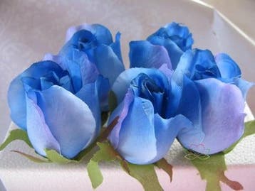 Zijden Roosjes Blauw 2Tone 5-6 cm 10 stuks, Ophalen of Verzenden, Nieuw