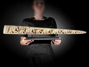 GEEN RESERVEPRIJS - Groot zwaardvisrostrum op een op maat