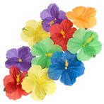 Hawaii Decoratie Bloemen Set (24 stuks), Ophalen of Verzenden, Nieuw