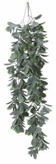 Schefflera hangplant header, Ophalen of Verzenden, Nieuw
