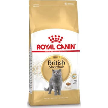 Royal Canin British Shorthair Adult 2 kg (Kattenvoer), Verzenden, Kat