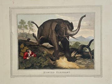 Samuel Howitt (c. 1756–1822) - Hunted Elephant