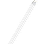 OSRAM - LED TL Buis T8 met Starter - SubstiTUBE Value EM 830, Ophalen of Verzenden, Nieuw