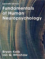 Fundamentals of Human Neuropsychology, 9781319154042, Boeken, Verzenden, Zo goed als nieuw, HBO