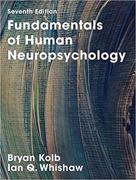 Fundamentals of Human Neuropsychology, 9781319154042, Boeken, Studieboeken en Cursussen, Zo goed als nieuw, HBO, Verzenden