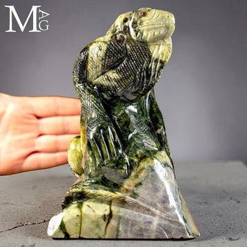 Realistische Iguana-Sculptuur - Perfecte details -