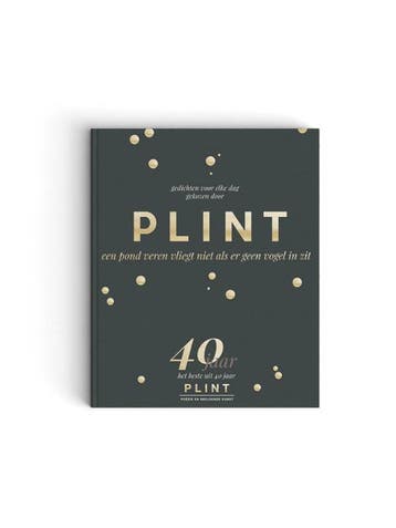 Plint Jubileumboek 40 jaar Plint / Plint 9789059308947, Verzenden, Zo goed als nieuw