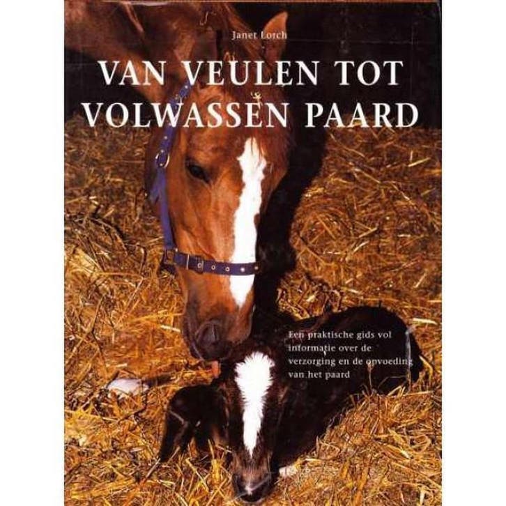 Van veulen tot volwassen paard 9789062488346 J. Lorch, Boeken, Hobby en Vrije tijd, Gelezen, Verzenden