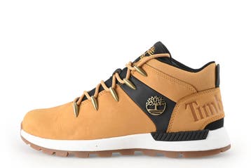 Timberland Hoge sneakers in maat 40, Kleding | Heren, Schoenen, Overige kleuren, Verzenden, Timberland, Sneakers of Gympen