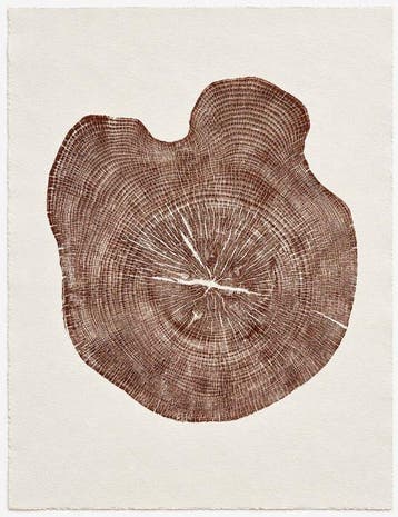 Wanddecoratie - Spanje - Pino Silvestre