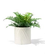 HEMA Bloempot 13.3x13.4cm keramiek ribbels crème, Verzenden