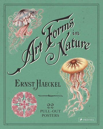 9783791382630 Ernst Haeckel ,Ernst Haeckel, Verzenden, Nieuw, ,Ernst Haeckel