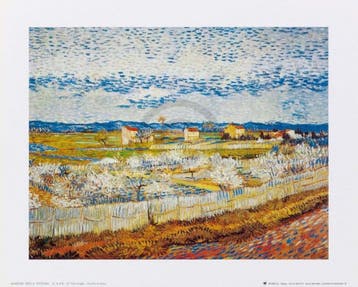 Kunstdruk Vincent Van Gogh - Pesco in fiore 30x24cm, Verzenden, Nieuw