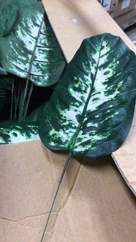 Dieffenbachia Blad Donkergroen Gestreept Zijdenblad, Ophalen of Verzenden, Nieuw