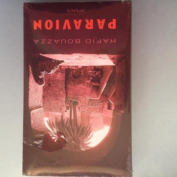 Paravion - Hafid Bouazza 9789044605105, Verzenden, Gelezen, Hafid Bouazza