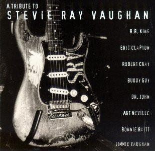 cd - Various - A Tribute To Stevie Ray Vaughan, Verzenden, Zo goed als nieuw