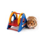 Knaagdieren Schommel Kleurrijk Hamster Gerbil Muis Dierenspe, Verzenden, Nieuw