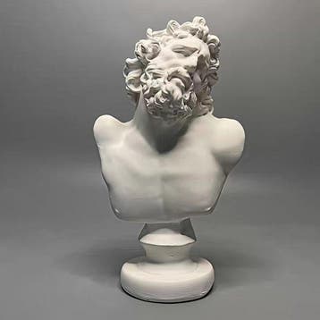 Beeldje - Bearded male bust - Gips