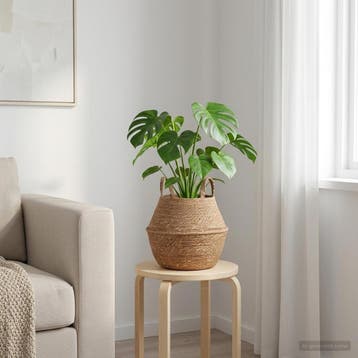 vidaXL Plantenpot met handvatten Naturel Ø 22 x 20 cm 100%, Verzenden, Nieuw, Minder dan 30 cm