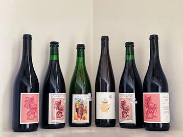 Cantillon - Cantillon/Cantina Giardino Sophia Lambic,, Nieuw