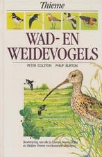 Wad- en weidevogels / Thiemes natuurgidsen 9789052100111, Verzenden, Zo goed als nieuw, Colston