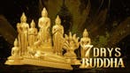 Tsjaad. 5000 Francs 2024 7 Days Buddha SET in 8 x 1 oz