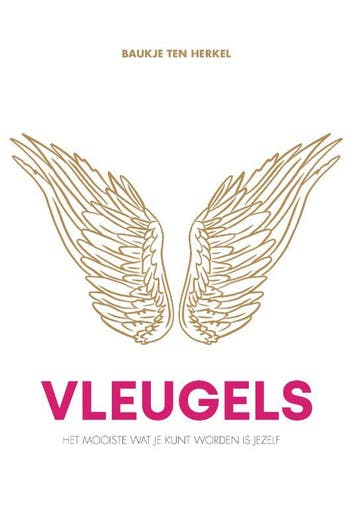Vleugels - Baukje ten Herkel 9789464434613, Boeken, Verzenden, Gelezen, Baukje ten Herkel