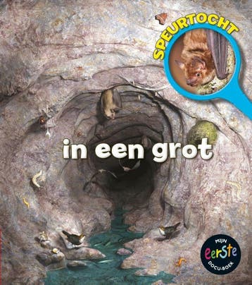 Speurtocht in een grot / Speurtocht - Richard Spilsbury, Verzenden, Gelezen, Richard Spilsbury