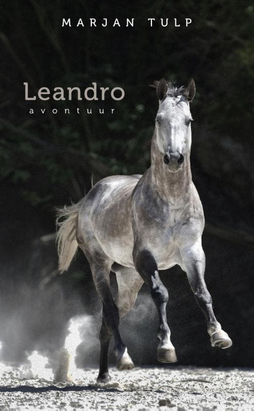 Leandro 9789082109504 Marjan Tulp, Boeken, Romans, Zo goed als nieuw, Verzenden