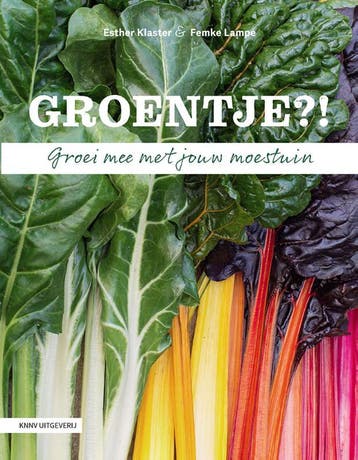 Groentje?! | Esther Klaster; Femke Lampe | Nieuw, Boeken, Ophalen of Verzenden, Nieuw, Esther Klaster; Femke Lampe