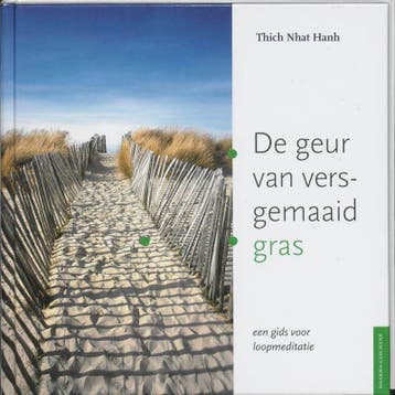 De geur van versgemaaid gras - Thich Nhat Hanh 9789056700782, Verzenden, Zo goed als nieuw, Thich Nhat Hanh